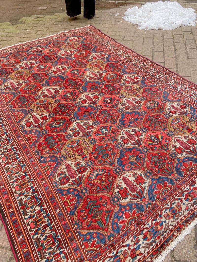 upea puutarha bahtijaari 1960 luvulta 300 x 212 cm