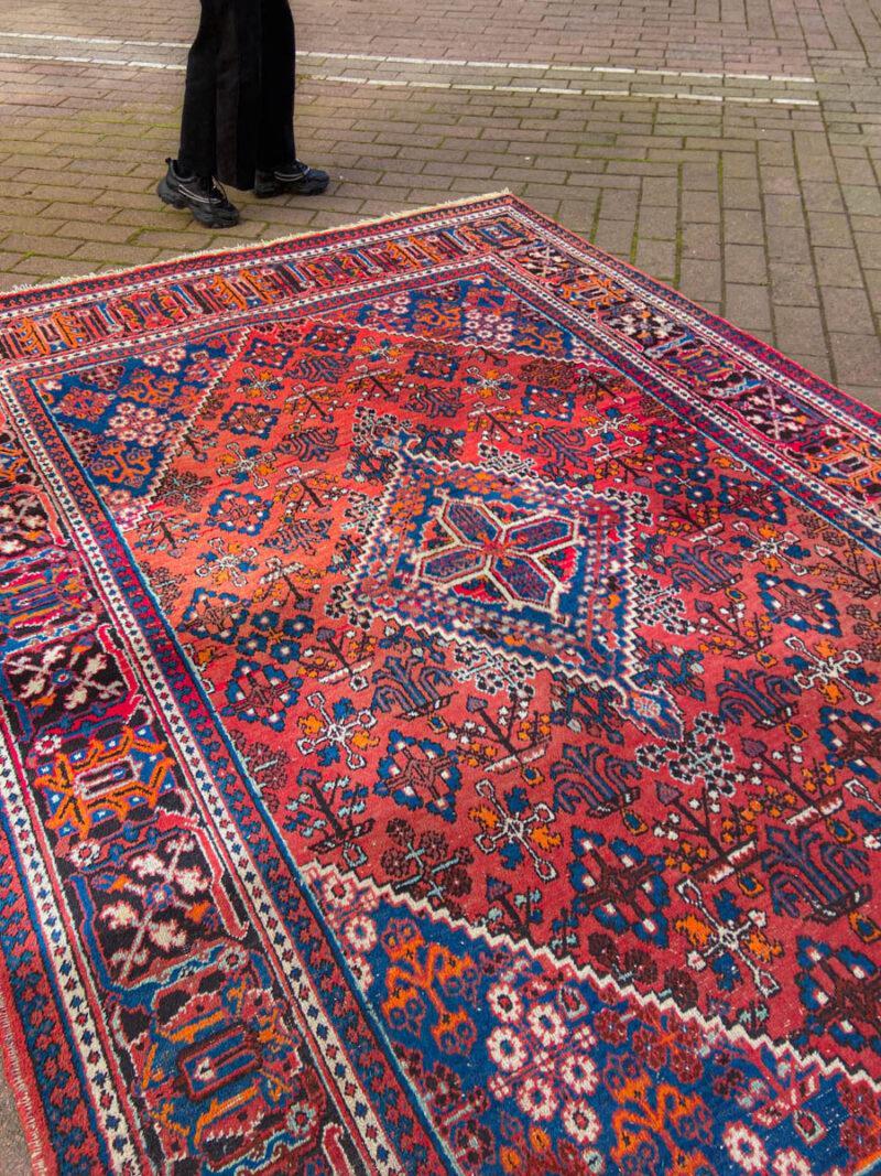 ylellinen tumma joshagan 325 x 225 cm
