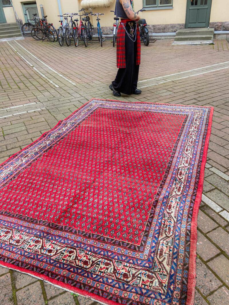 kirkkaan värinen sarouk mir 300 x 195 cm