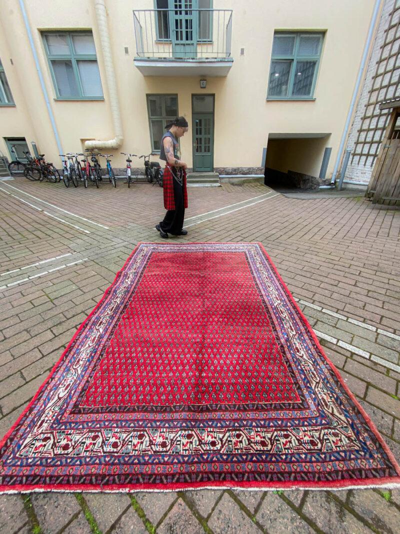 kirkkaan värinen sarouk mir 300 x 195 cm