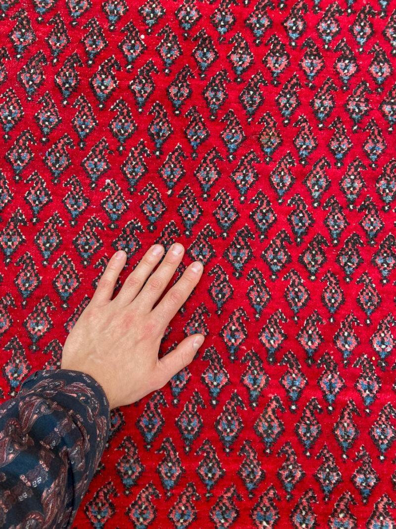 kirkkaan värinen sarouk mir 300 x 195 cm