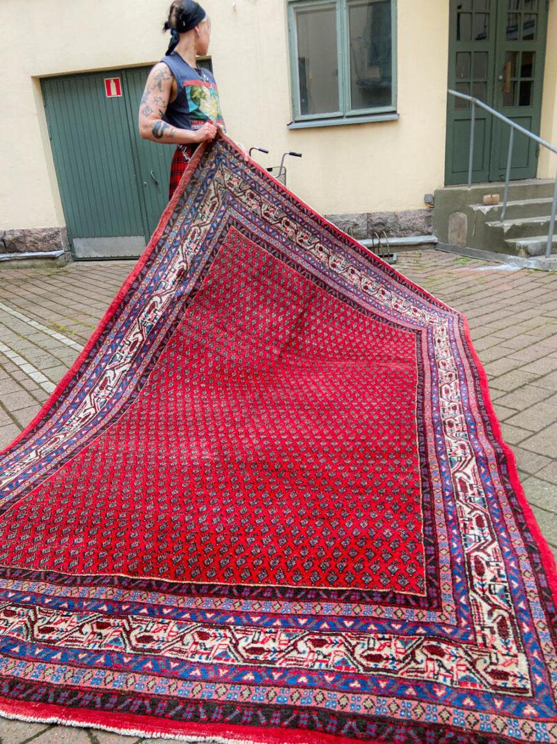 kirkkaan värinen sarouk mir 300 x 195 cm