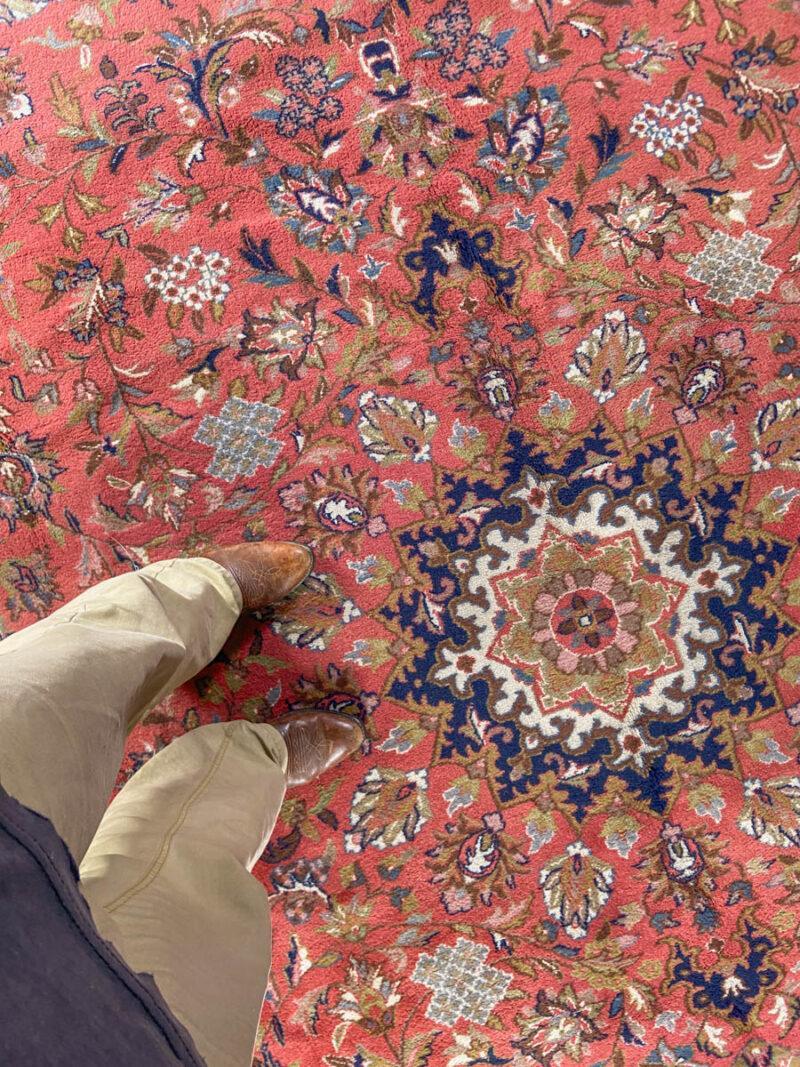 tyrmäävän harmoninen sarouk  350 x 245 cm