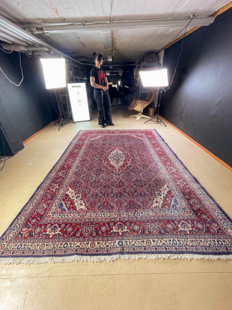 tyrmäävä sininen vintage moud 303 x 203 cm
