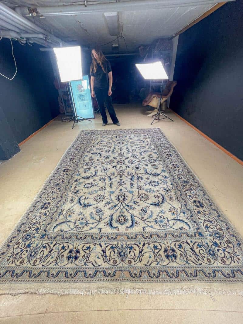 upean elegantti vaalea nain silkillä 300 x 200 cm