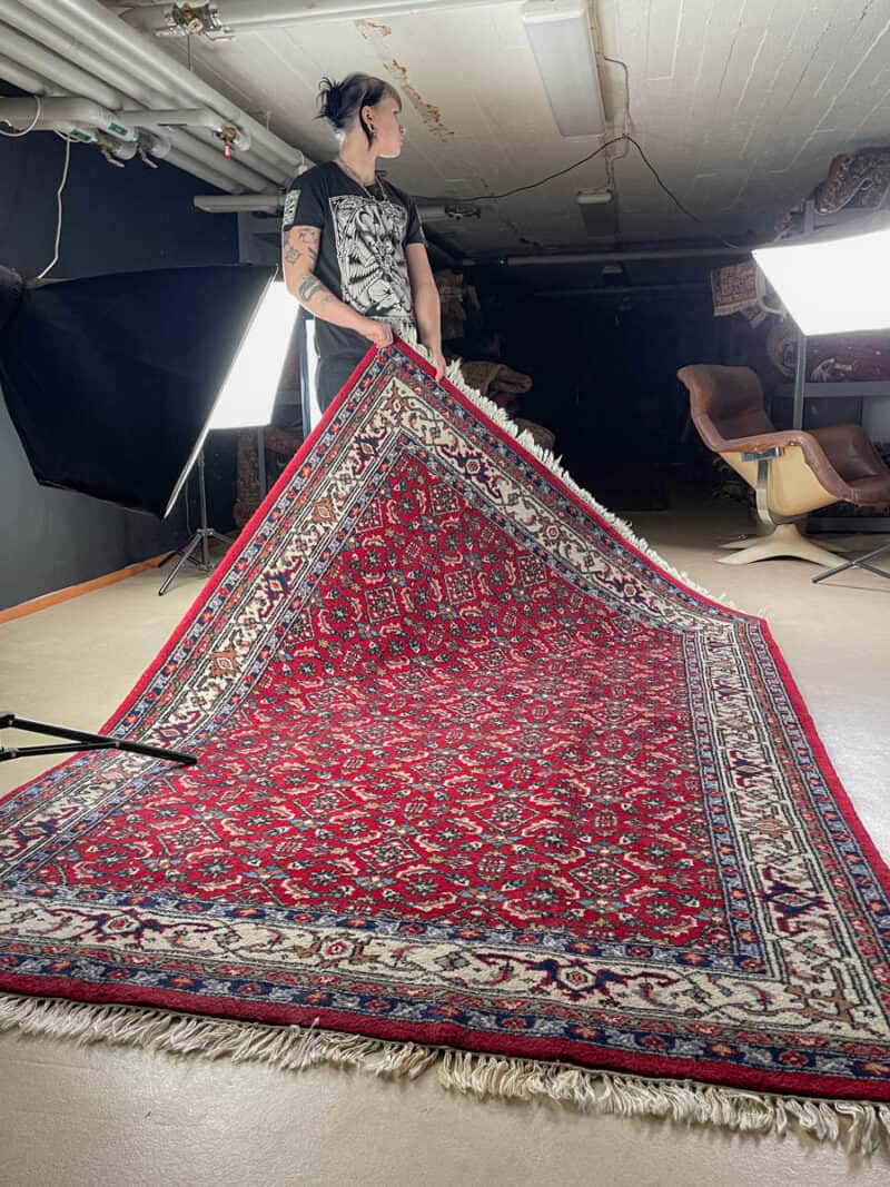kauniin perinteinen sarouk 241 x 170 cm