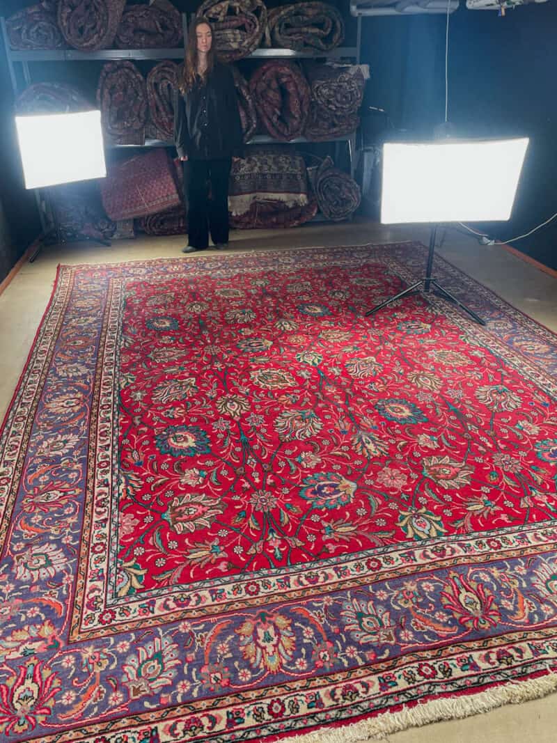 soinnukas palatsikokoinen vintage tabriz  410 x 195 cm