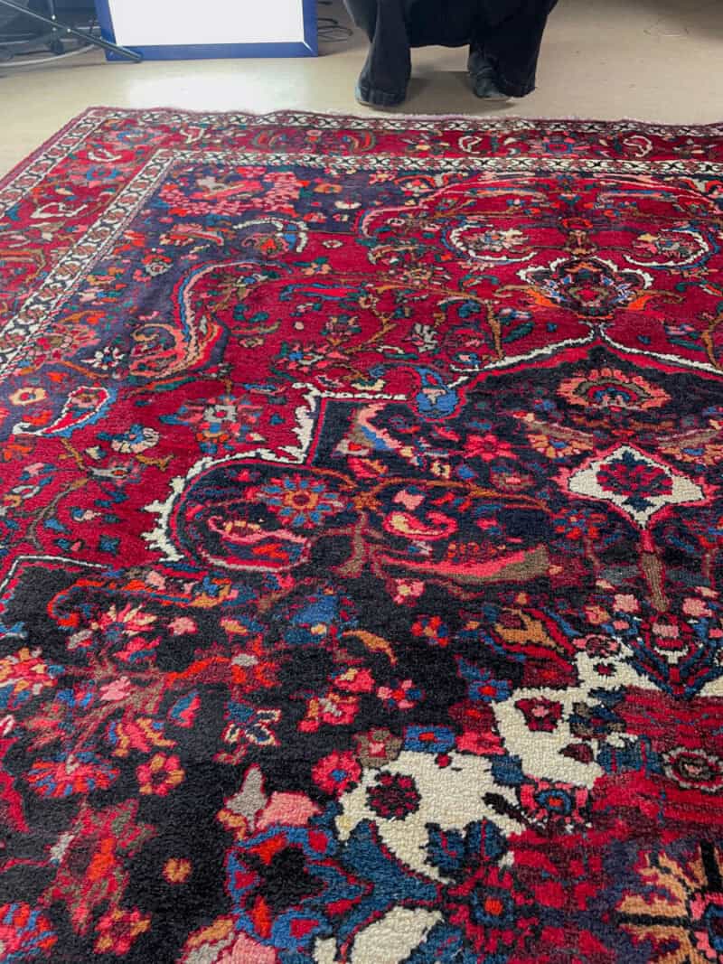 verenpunainen bahtijaari 1960 luvulta 320 x 214 c