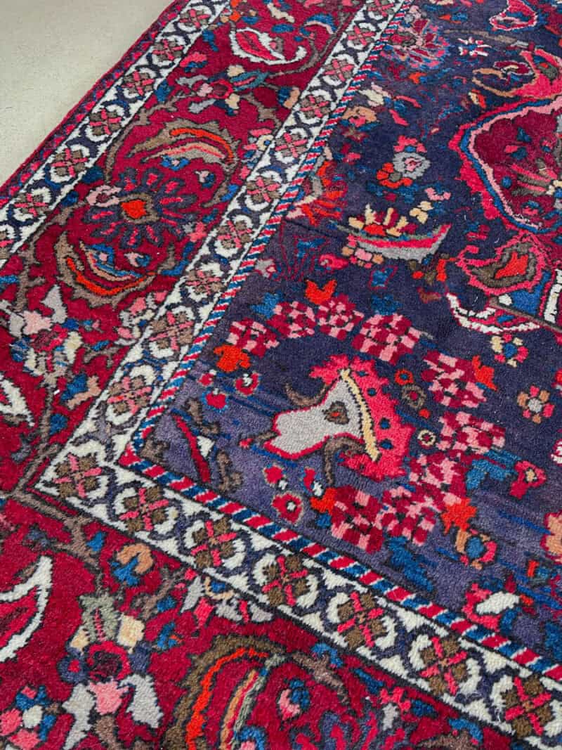 verenpunainen bahtijaari 1960 luvulta 320 x 214 c