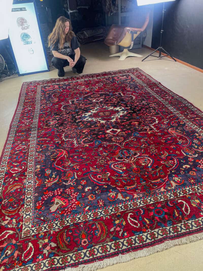 verenpunainen bahtijaari 1960 luvulta 320 x 214 c