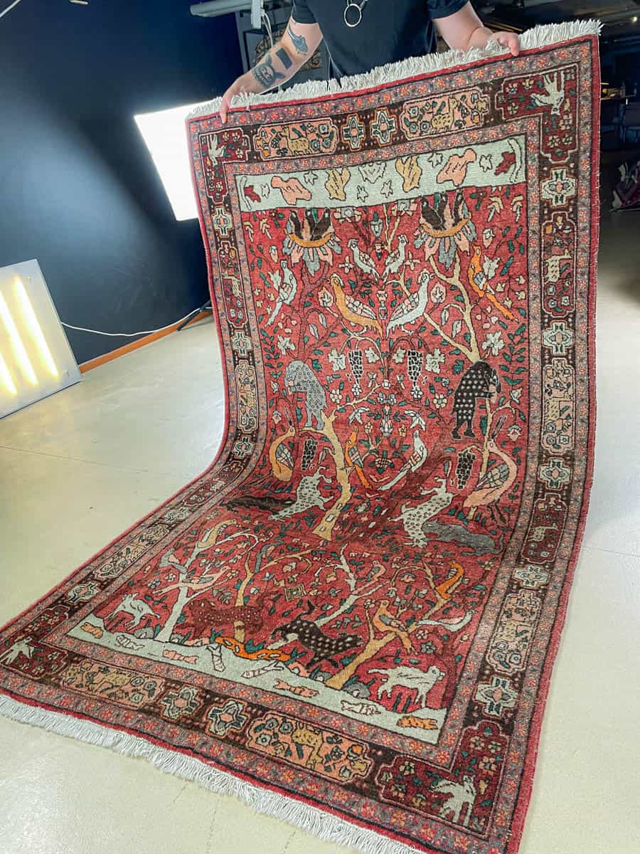 brutaali metsästys ghom 222 x 126 cm