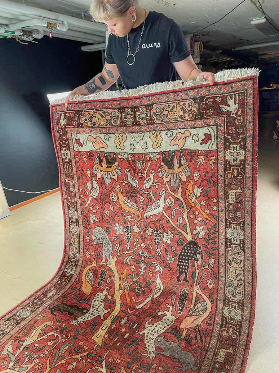 brutaali metsästys ghom 222 x 126 cm