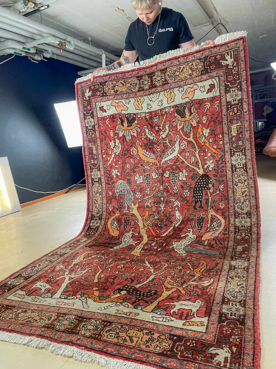 brutaali metsästys ghom 222 x 126 cm