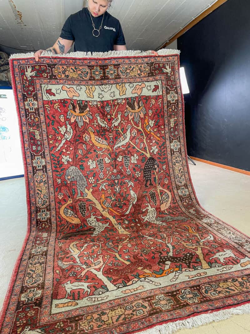 brutaali metsästys ghom 222 x 126 cm