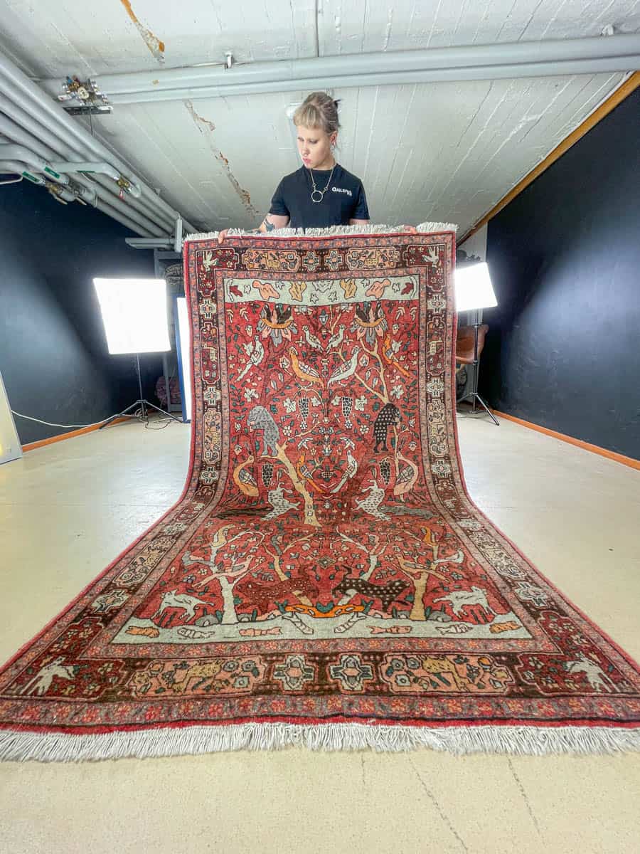 brutaali metsästys ghom 222 x 126 cm