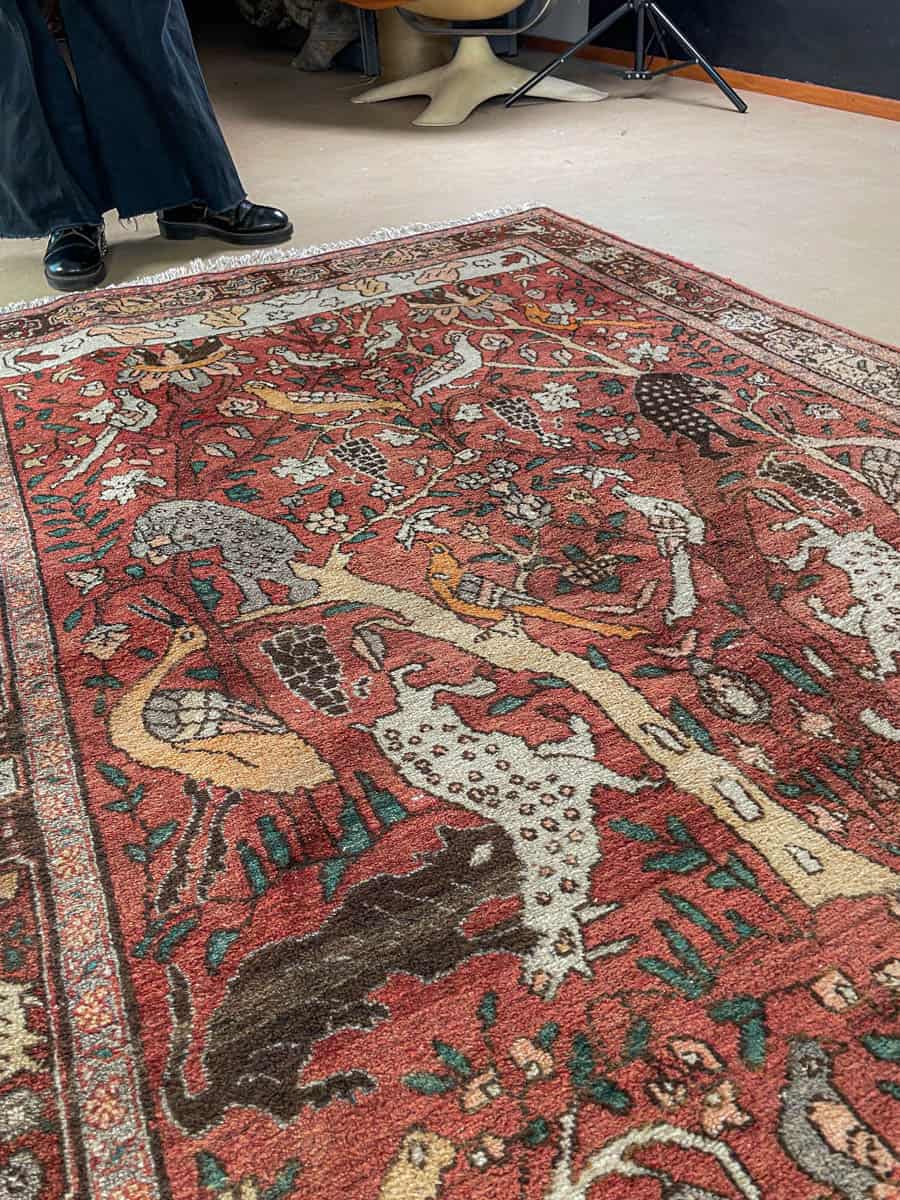 brutaali metsästys ghom 222 x 126 cm