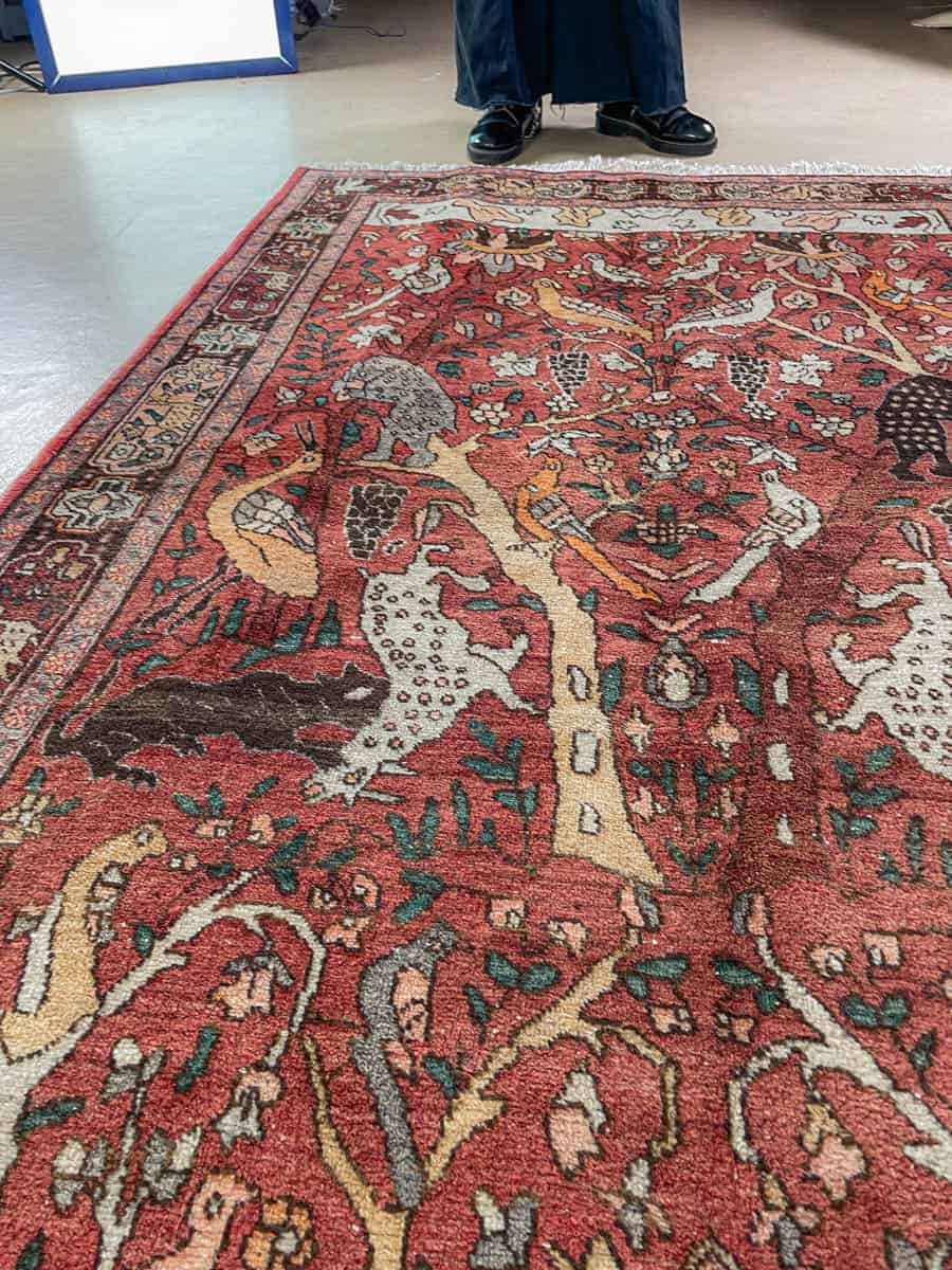 brutaali metsästys ghom 222 x 126 cm