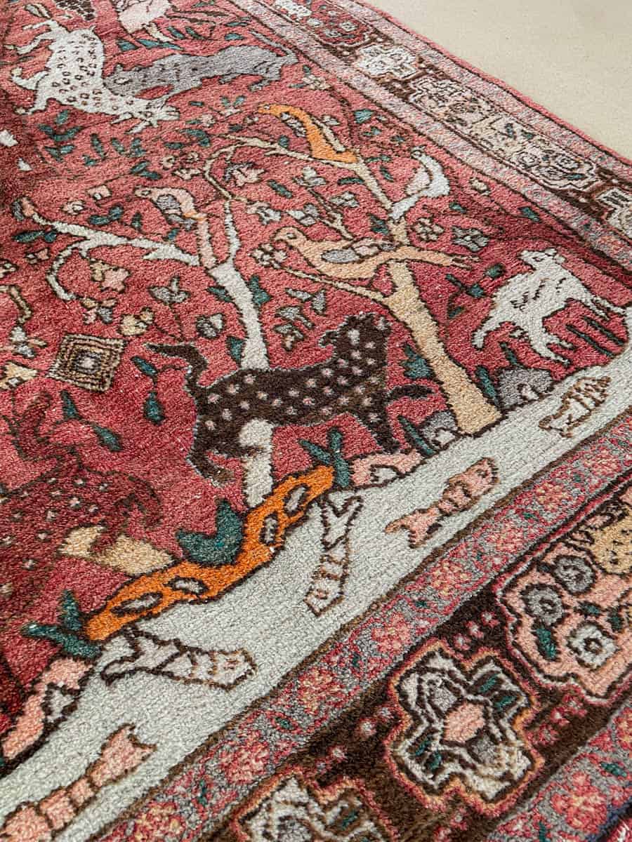 brutaali metsästys ghom 222 x 126 cm