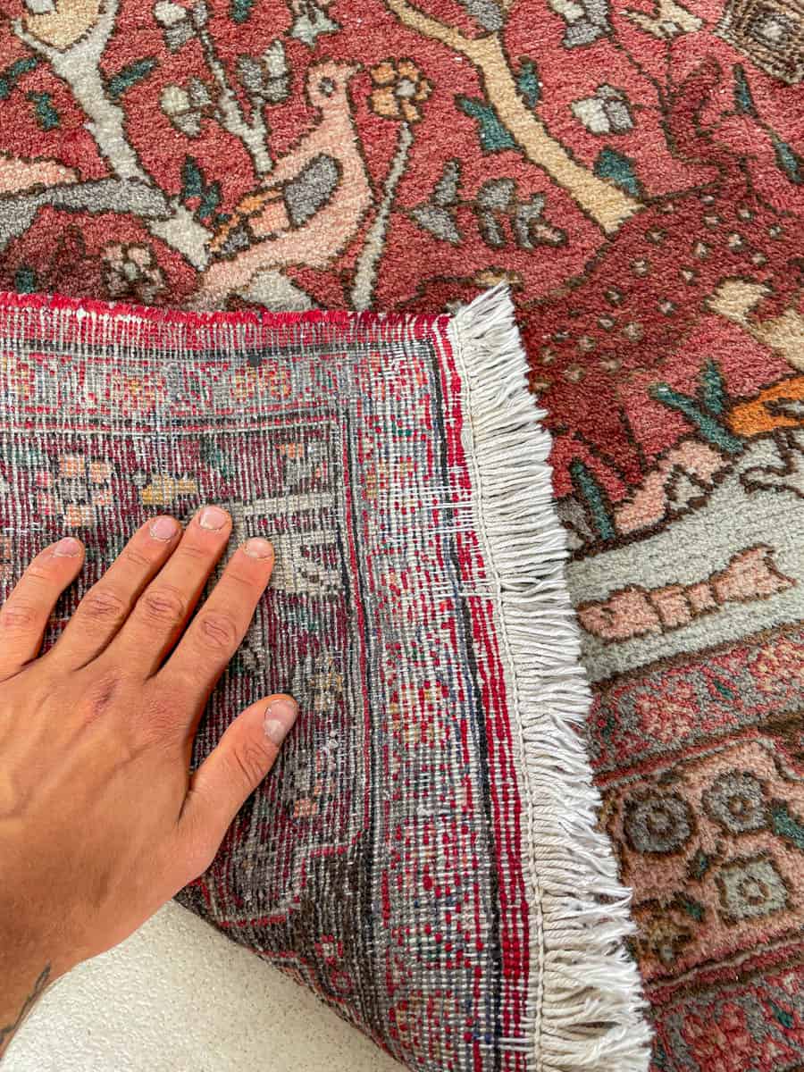 brutaali metsästys ghom 222 x 126 cm