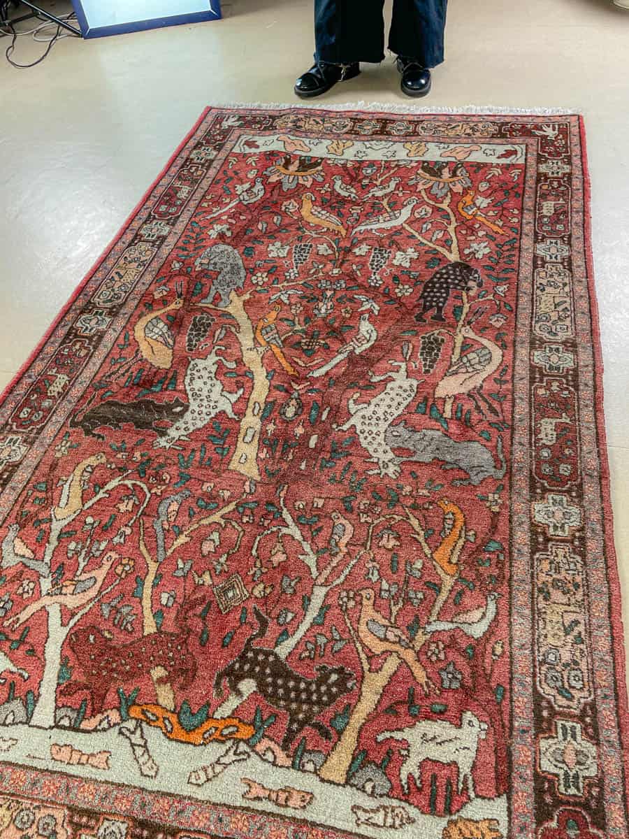 brutaali metsästys ghom 222 x 126 cm