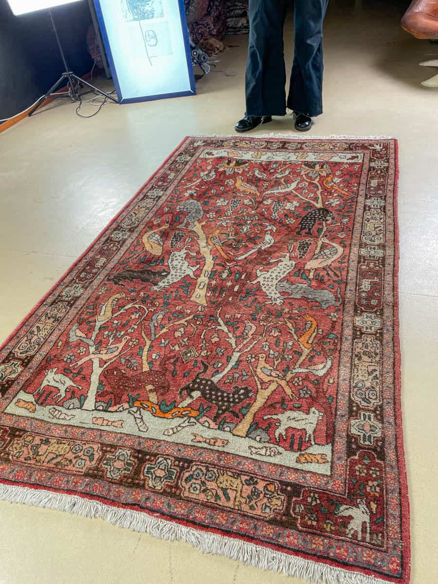 brutaali metsästys ghom 222 x 126 cm