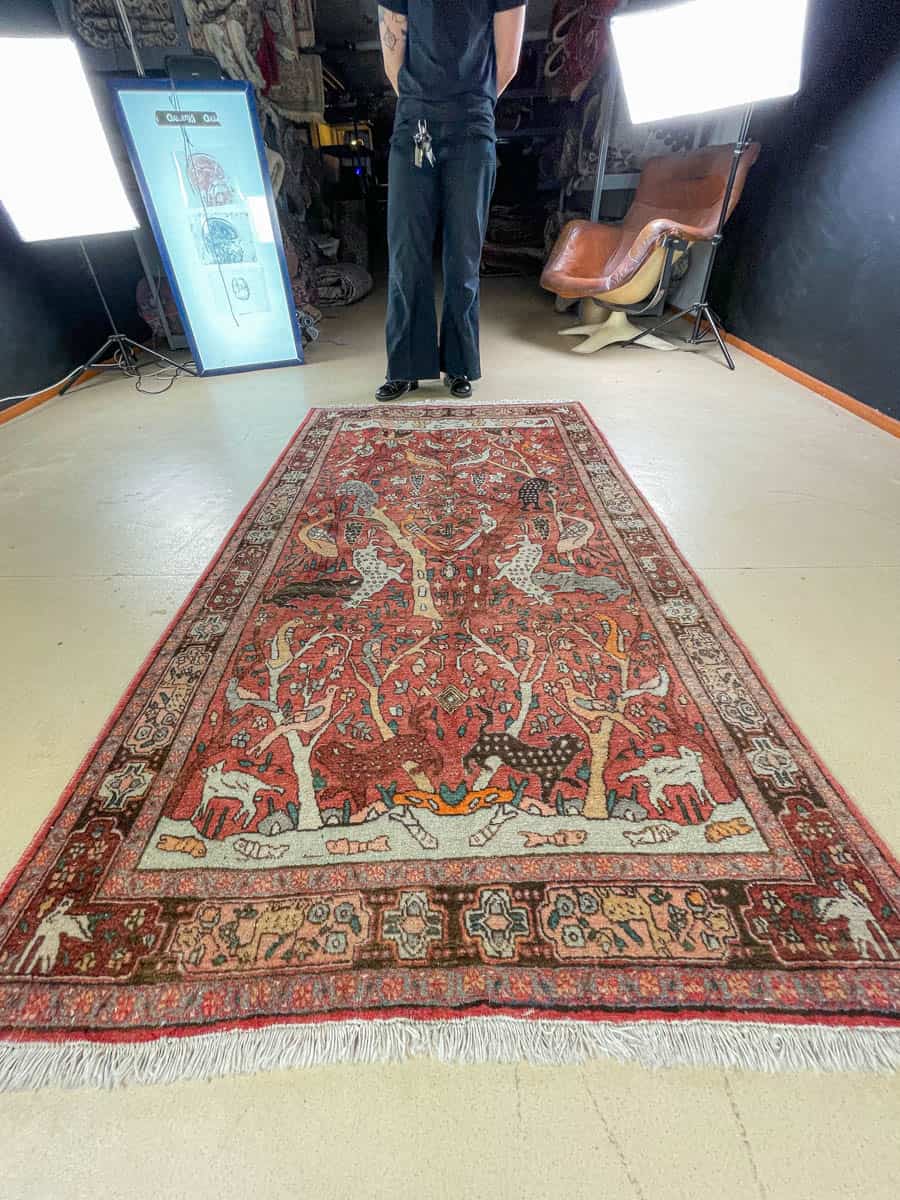 brutaali metsästys ghom 222 x 126 cm