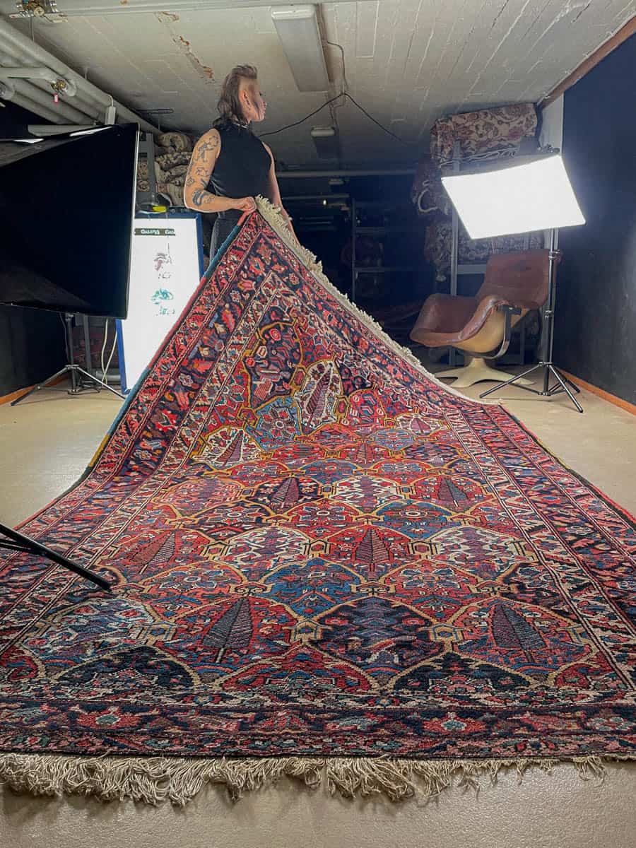 upea puutarha bahtijaari 1960 luvulta 280 x 215 cm (kopio)