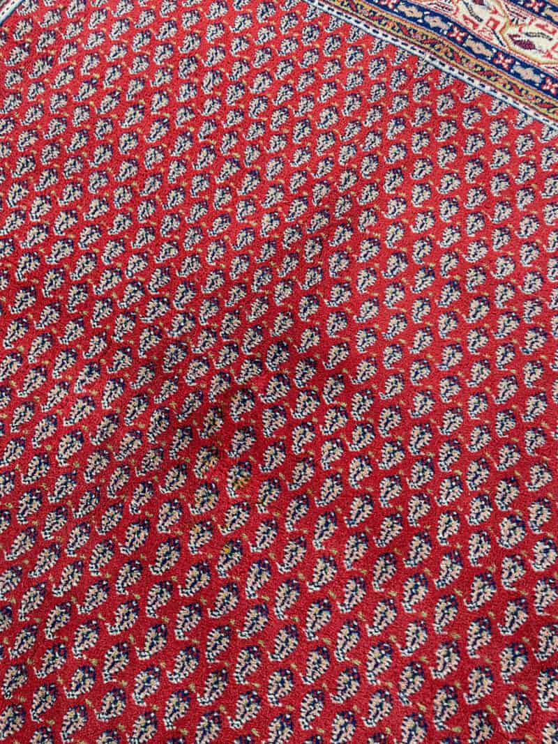 kirkkaan värinen perinteinen sarouk mir 245 x 170 cm