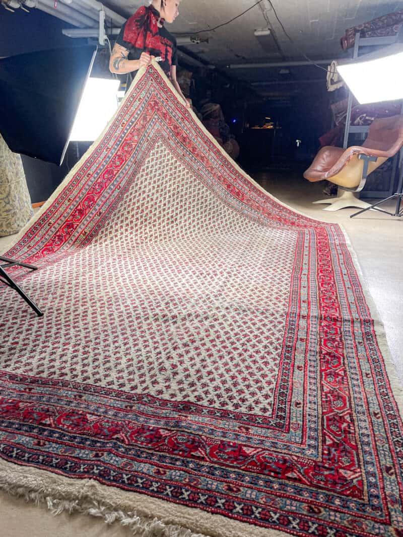 vaalea sarouk mir  314 x 220 cm