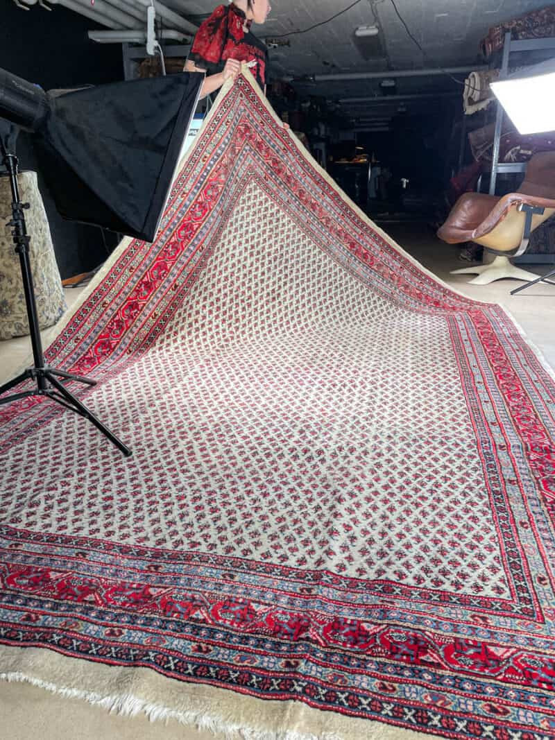 vaalea sarouk mir  314 x 220 cm