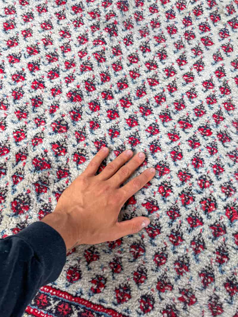 vaalea sarouk mir  314 x 220 cm