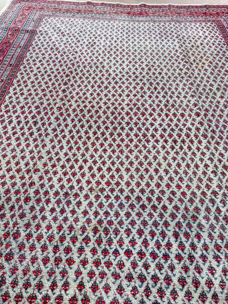 vaalea sarouk mir  314 x 220 cm