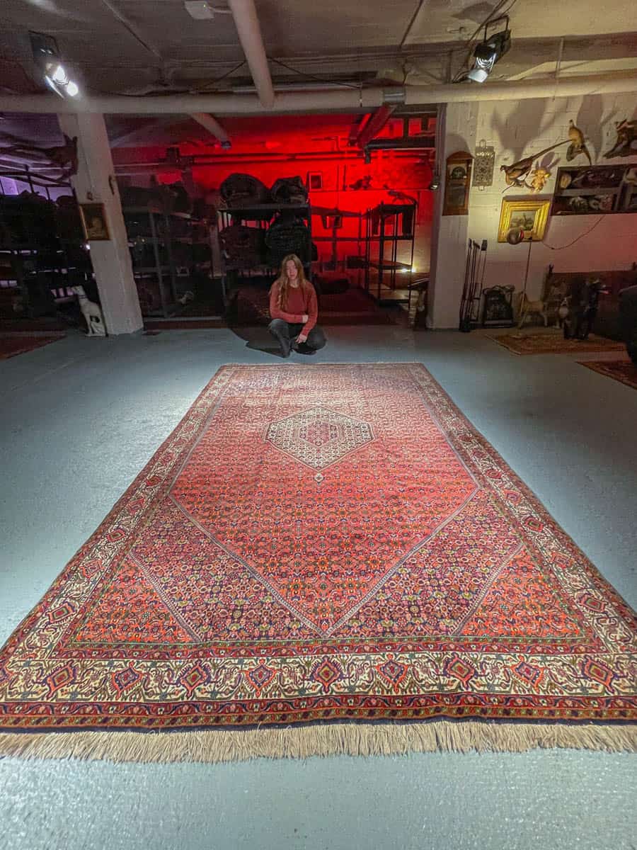 harvinainen vaaleanpunainen bijar 315 x 203 cm