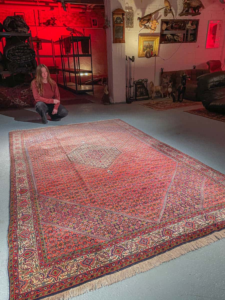 harvinainen vaaleanpunainen bijar 315 x 203 cm