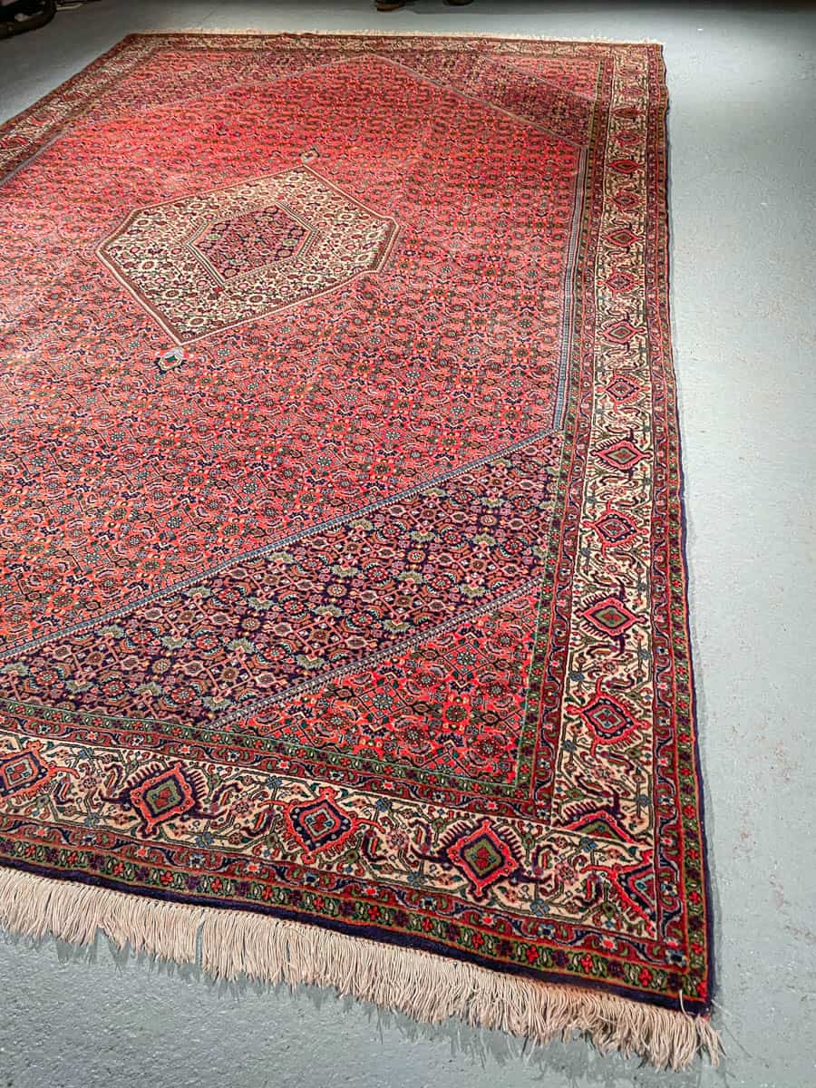 harvinainen vaaleanpunainen bijar 315 x 203 cm