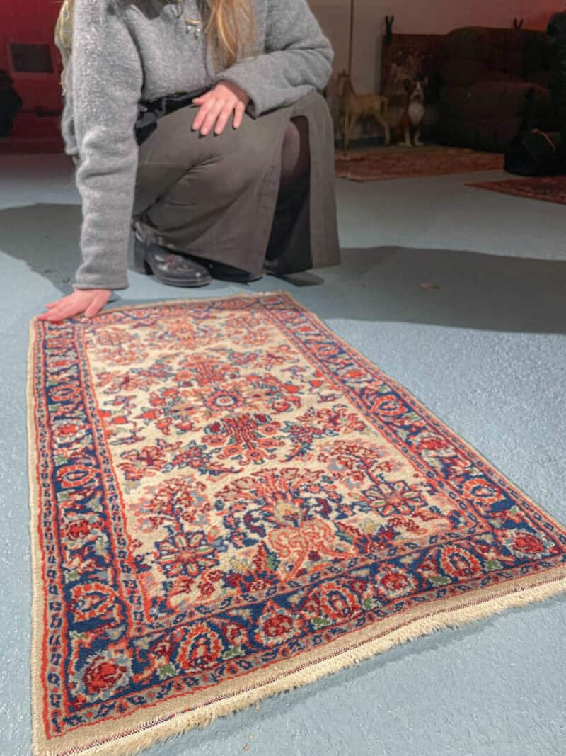 elegantti sarouk 98 x 57 cm