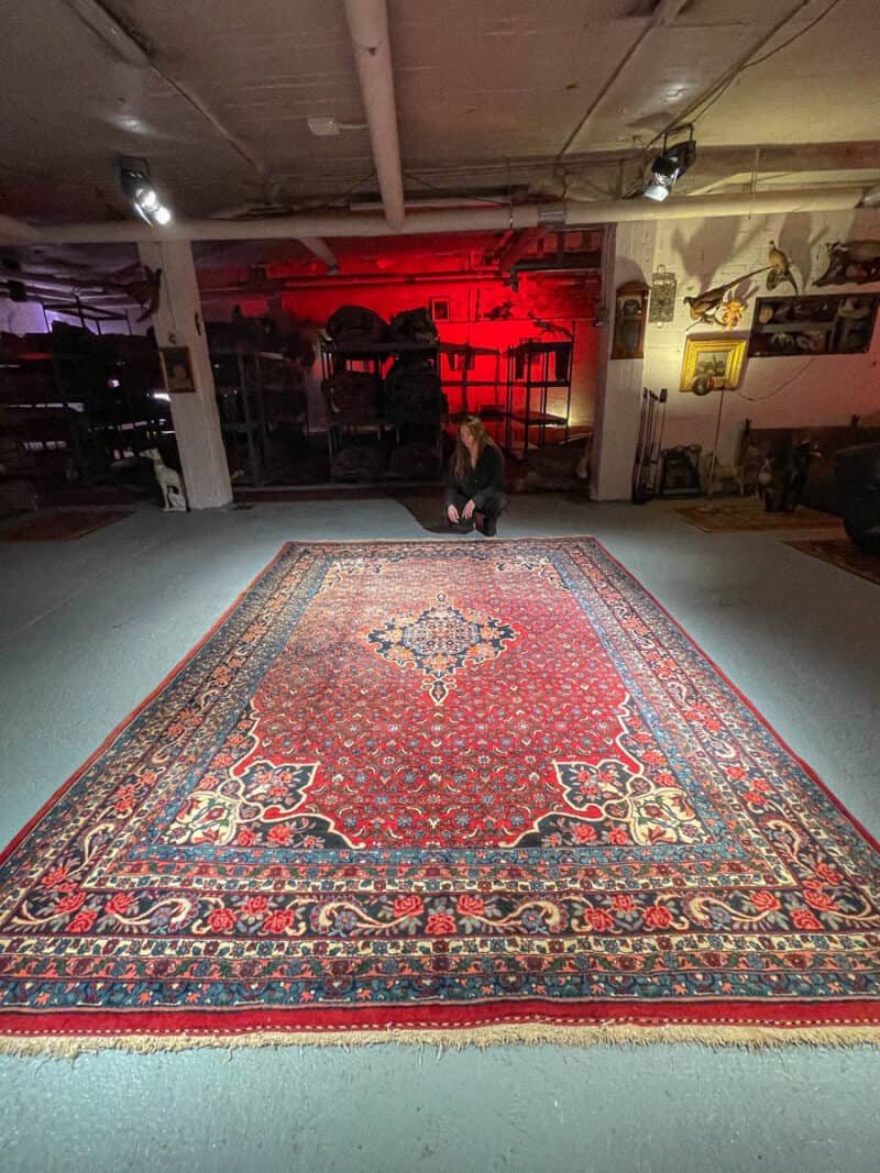 arvokkaan elegantti bijar 300 x 200 cm (kopio)