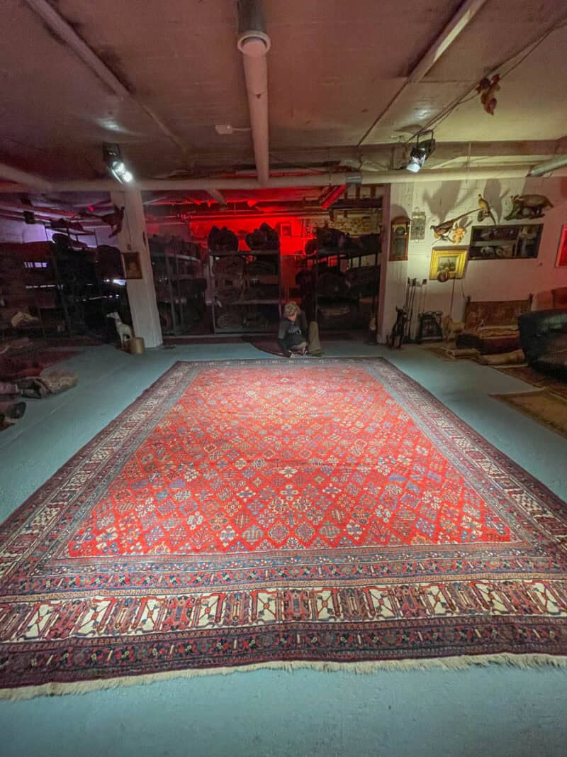 dramaattinen palatsikokoinen joshagan  433 x 325 cm