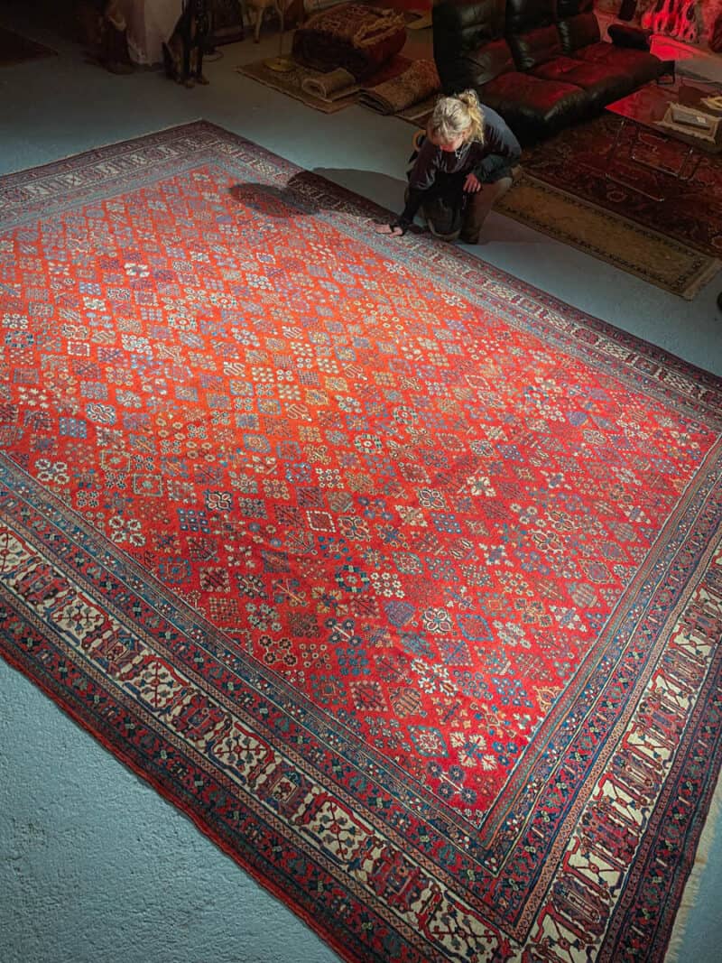 dramaattinen palatsikokoinen joshagan  433 x 325 cm