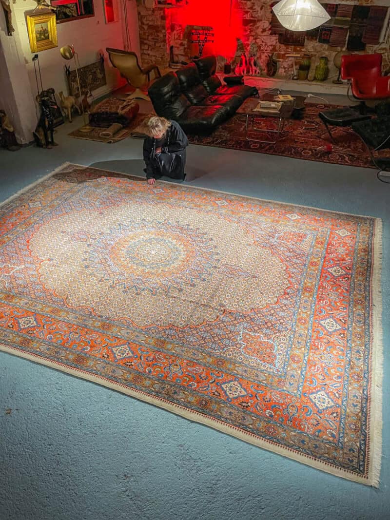 häikäisevä palatsikokoinen auringonkehä moud 405 x 300 cm