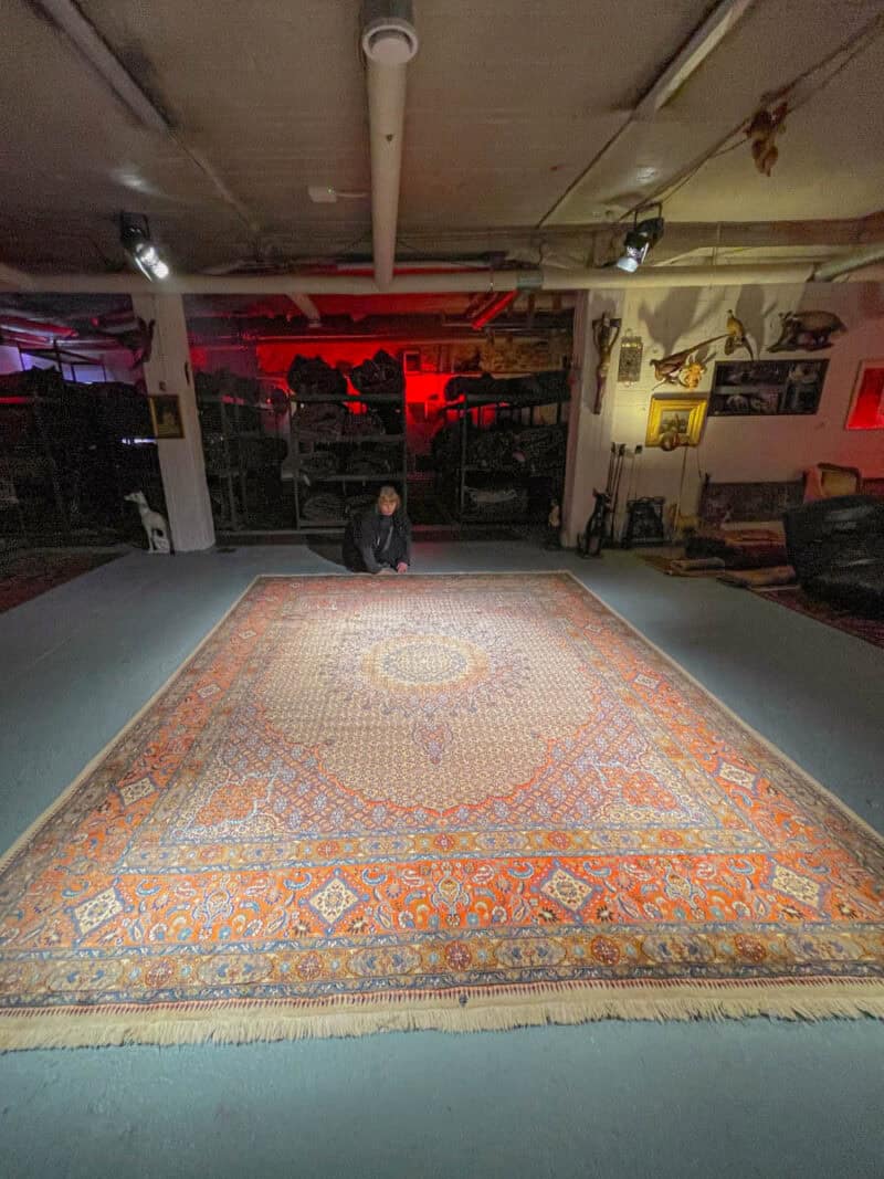 häikäisevä palatsikokoinen auringonkehä moud 405 x 300 cm