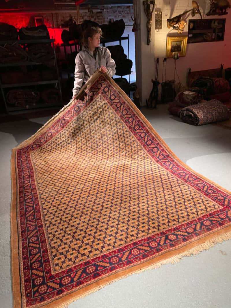 lempeän keltainen malayer 290 x 250 cm