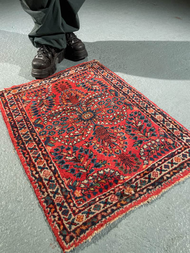 ihastuttava pieni sarouk 76 x 59 cm