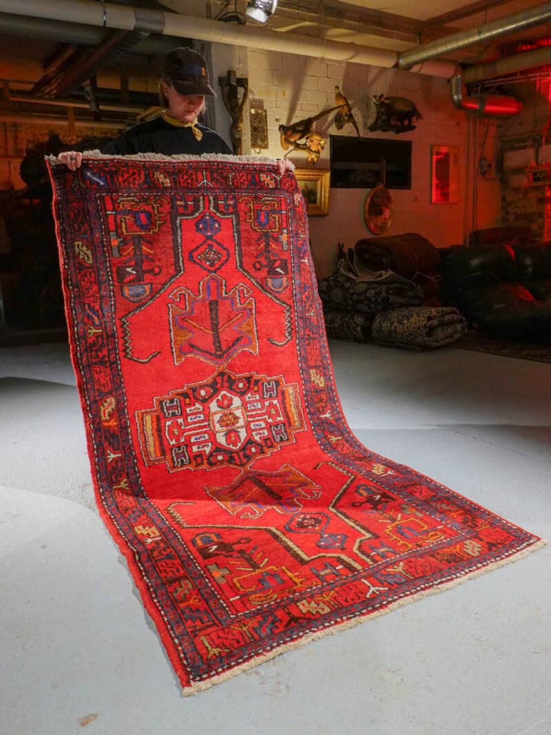 tyylikkään kirkas hamadan – 215 x 110 cm