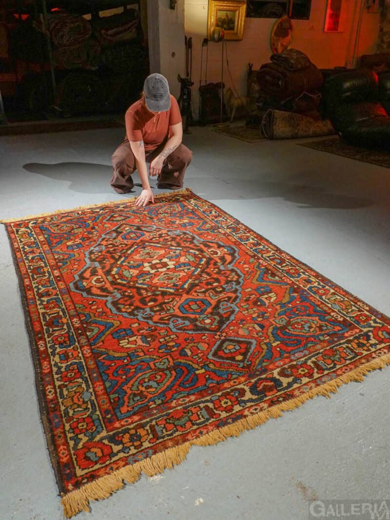 värikkään eloisa bahtijaari 195 x 137 cm