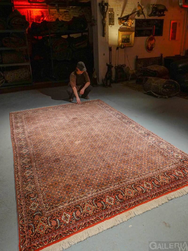 tyylikäs maanläheinen bijar 300 x 197 cm