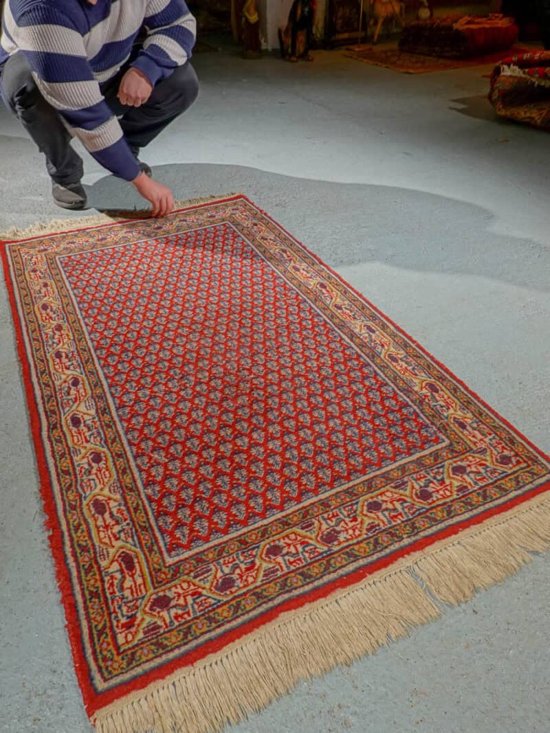 pieni sievä sarouk mir 170 x 90 cm