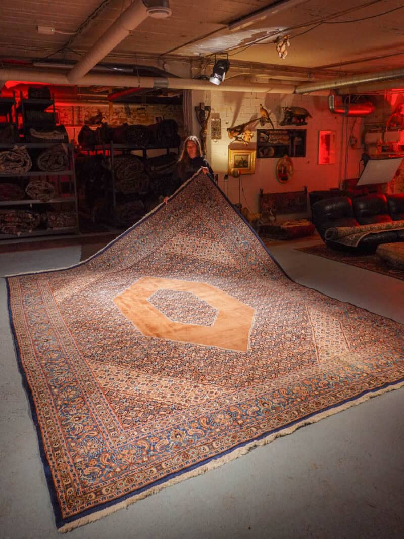 loistelias palatsikokoinen bijar 380 x 270 cm (kopio)