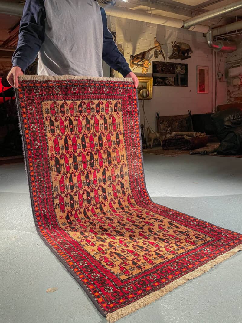 kotoisa afshar 170 x 127 cm (kopio)