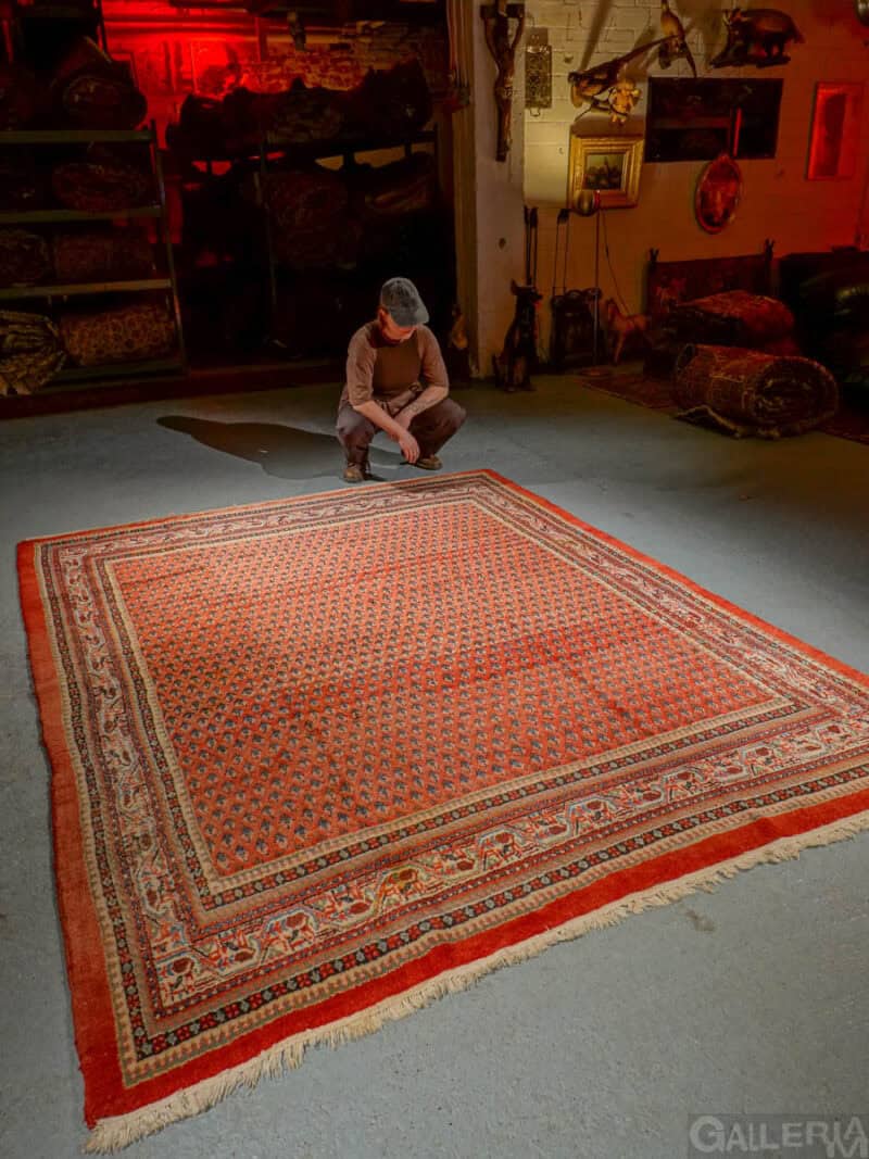 lempeän punainen sarouk mir 265 x 203 cm